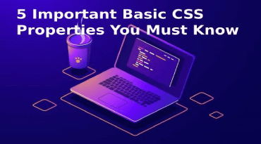 5 Important Basic CSS Properties You Must Know